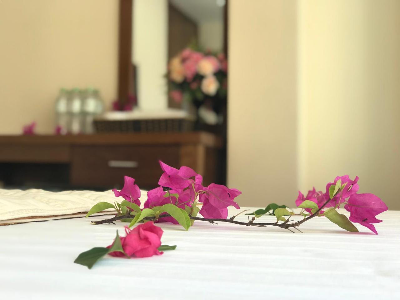 Ha Vy Hotel Cat Ba Island ภายนอก รูปภาพ