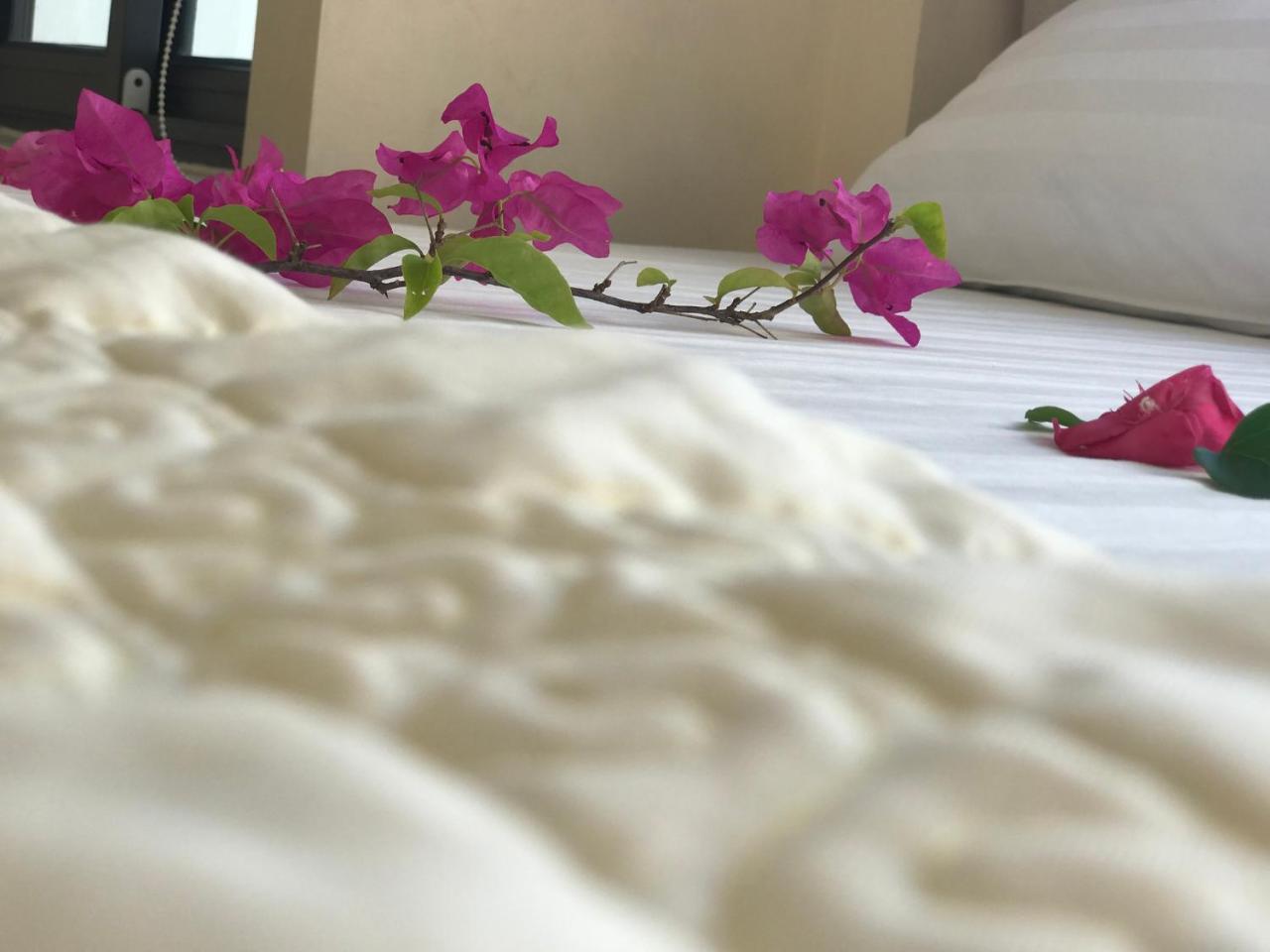 Ha Vy Hotel Cat Ba Island ภายนอก รูปภาพ